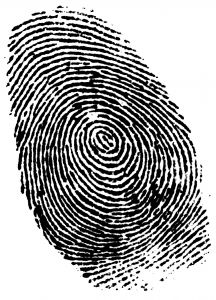 The value of your data